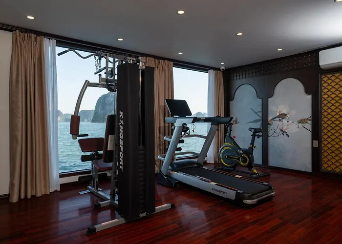 Cycad Cruise 5*