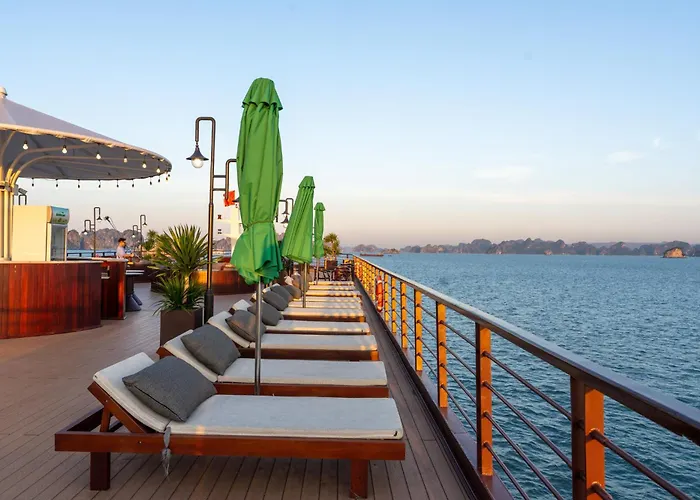 Cycad Cruise  5*