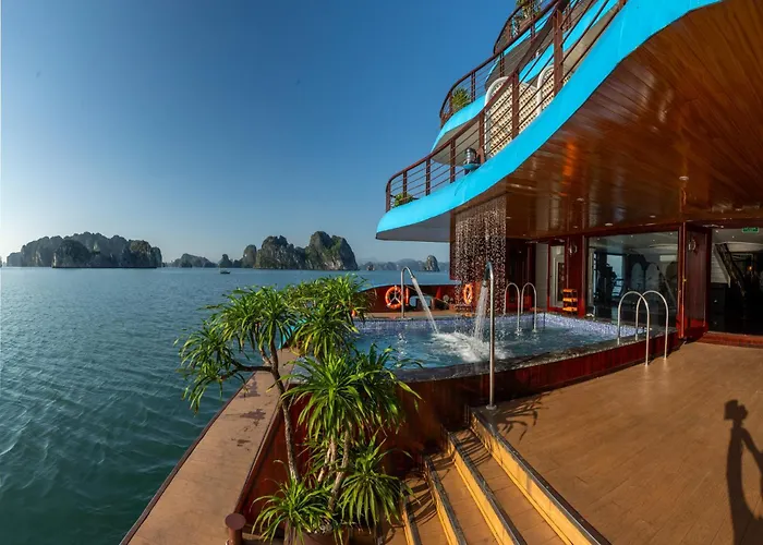 Cycad Cruise 