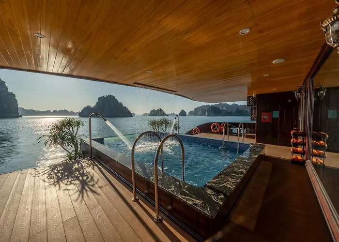 Cycad Cruise  5*