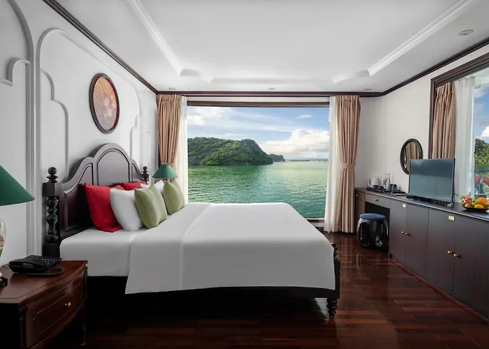 Cycad Cruise  5*